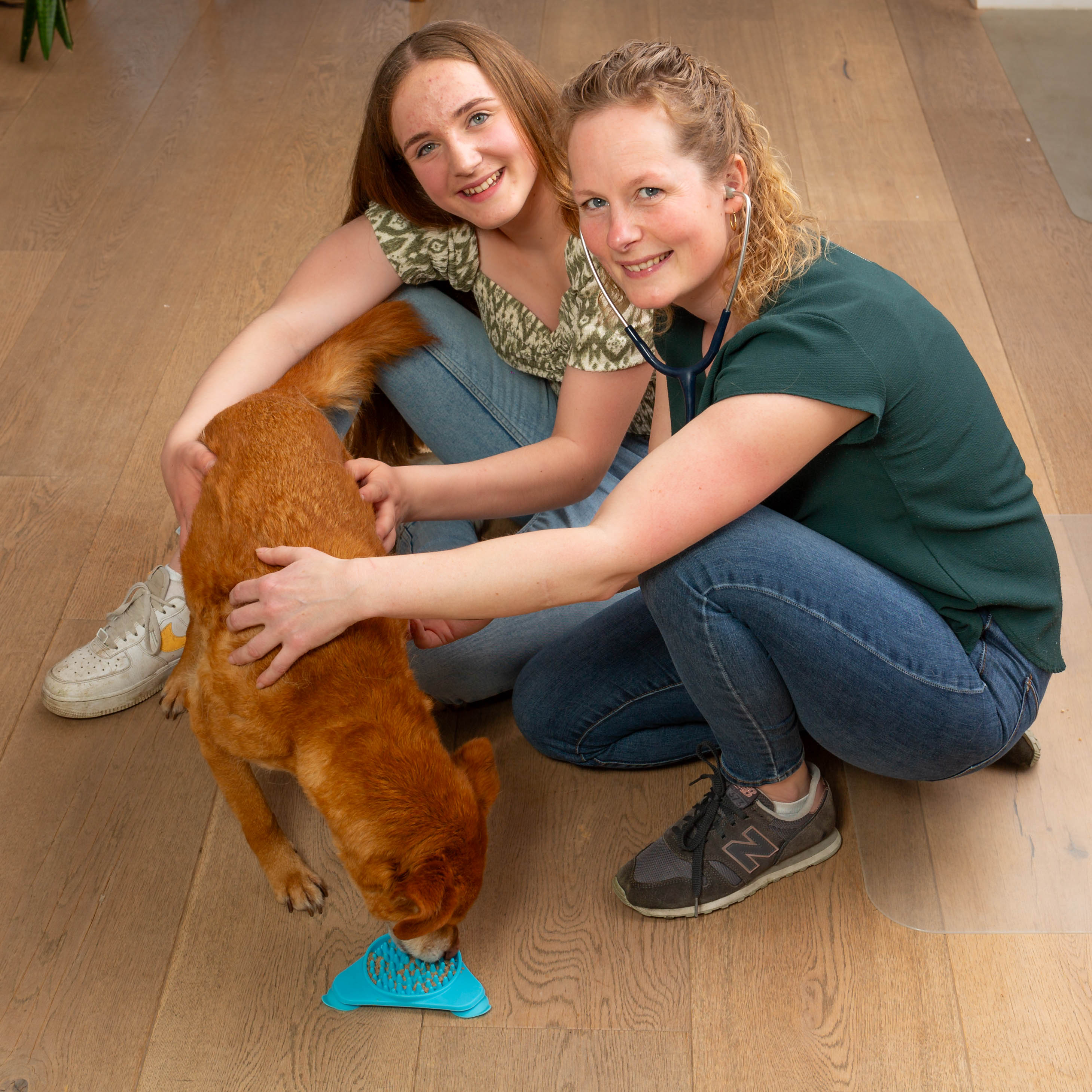 Susanne Smit, Paraveterinair Dierenartsassistent